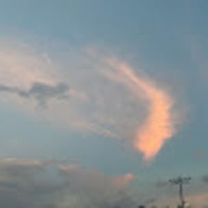 Meet your Posher, Vera